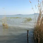 Tieff Balatonmáriafürdő Hullámtelep
