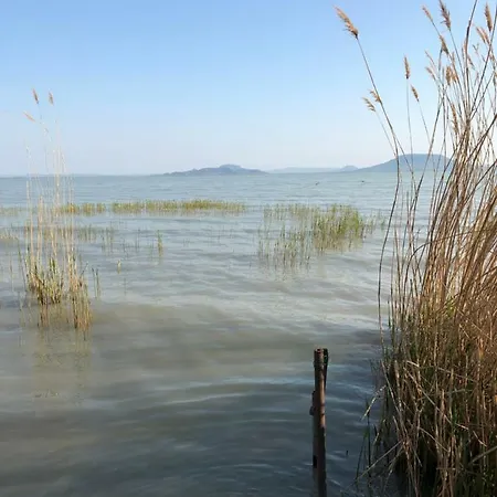 Tieff Balatonmáriafürdő Hullámtelep