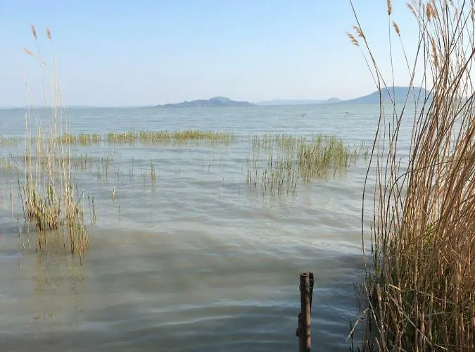 Tieff Apartmanhaz Balatonmariafuerdo Hullamtelep